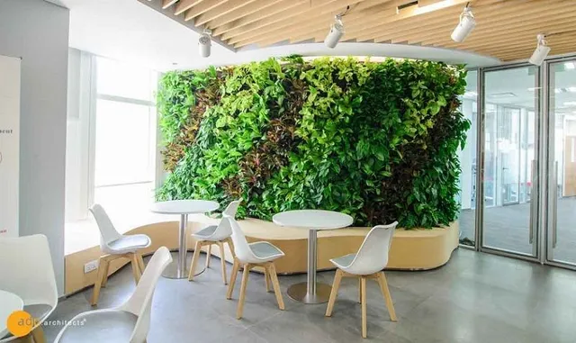 vivo V23e - Dòng điện thoại giá rẻ chụp ảnh đẹp nhất của vivo