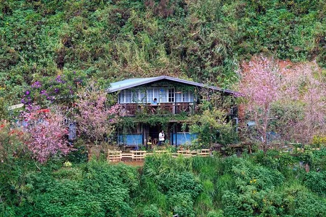 Bật mí 5 Homestay Đà Lạt view đẹp cho bạn tha hồ tận hưởng chiêm ngưỡng