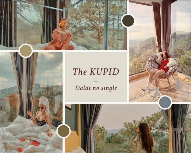 Những homestay săn mây ở Đà Lạt nhất định phải ghé một lần trong đời