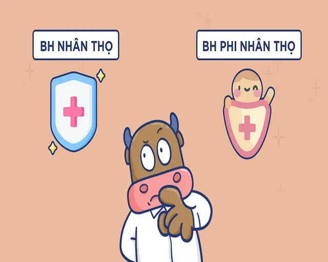 Bảo hiểm nhân thọ và phi nhân thọ: Sự khác biệt và lợi ích của từng loại bảo hiểm
