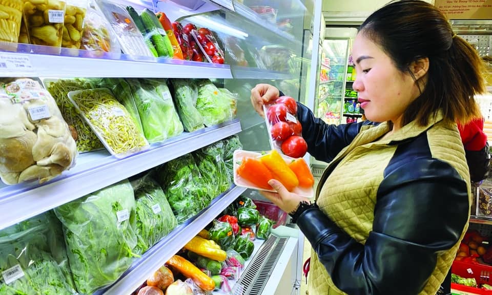 Nhu cầu thực phẩm sạch tại Việt Nam – rau củ hữu cơ tươi sạch