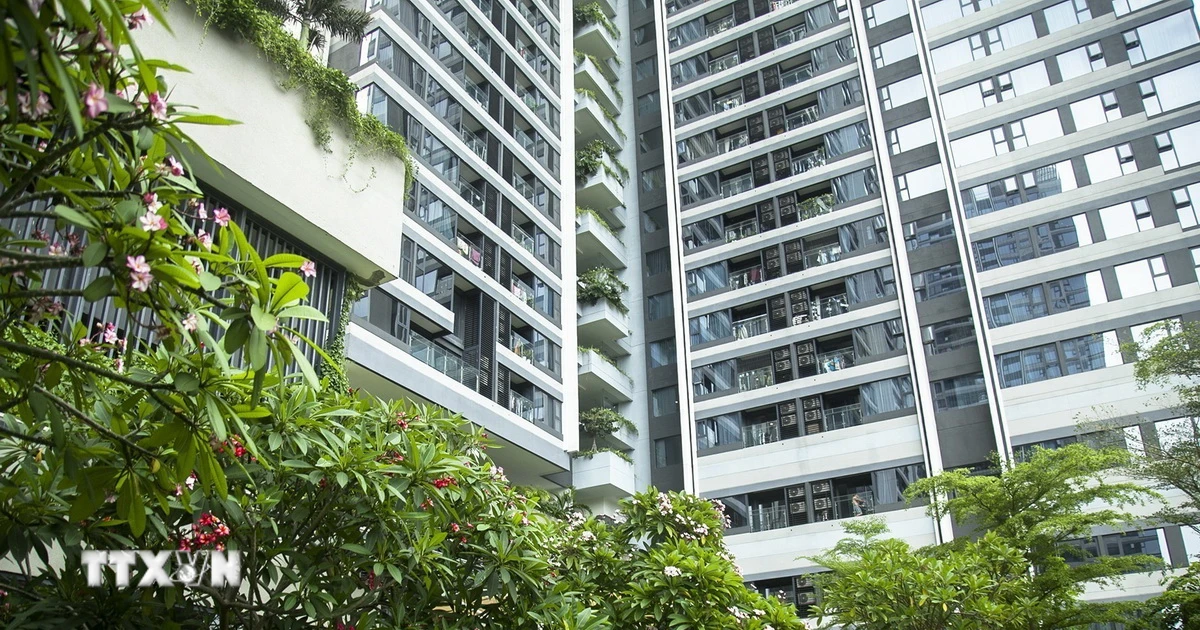 Công trình xanh LEED tại Việt Nam – bức tranh tổng quan thị trường công trình xanh năm 2025