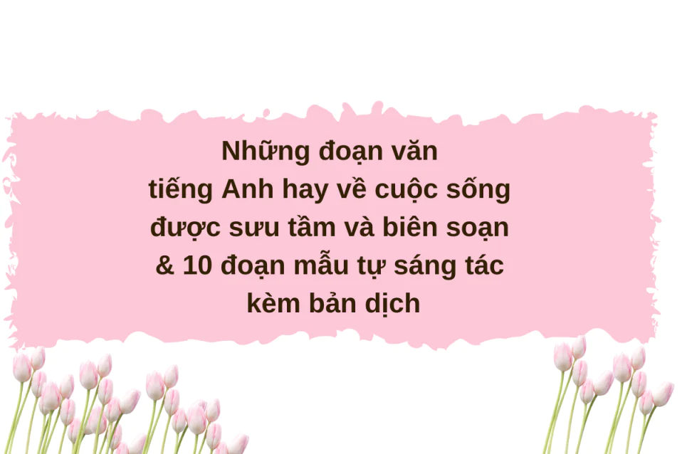 Bài học tiếng Anh từ những tình huống giao tiếp hàng ngày