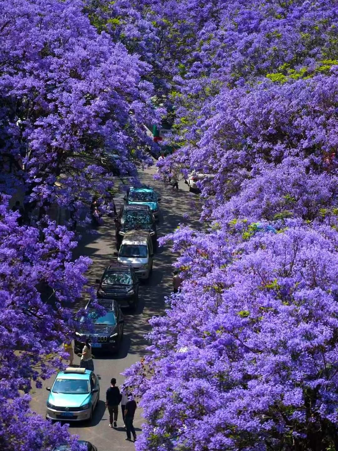Du khách thưởng thức cà phê tại quán cà phê Côn Minh - nguồn từ ivivu