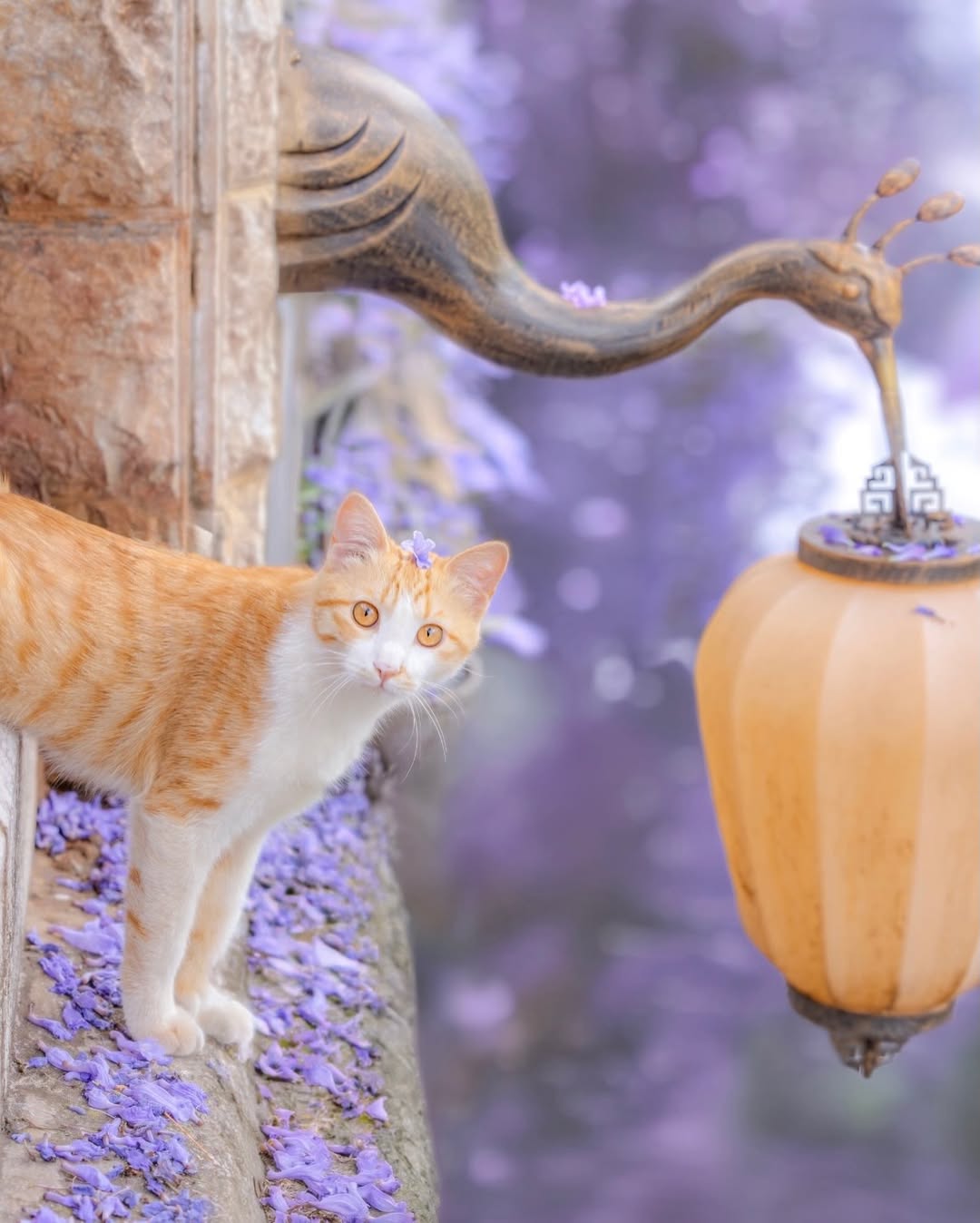 Lễ hội Songkran sôi động tại Tây Song Bản Nạp - nguồn từ ivivu