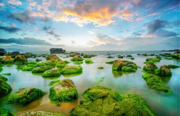 Mẹo mua sắm thông minh khi khám phá chợ địa phương