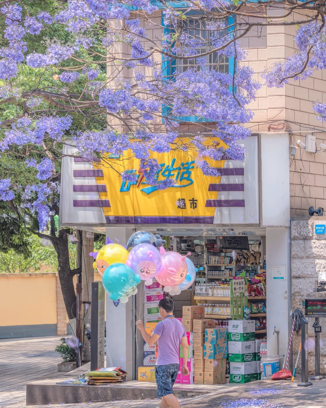 Hoa phượng tím nở rộ trên các tuyến phố Côn Minh - nguồn từ ivivu