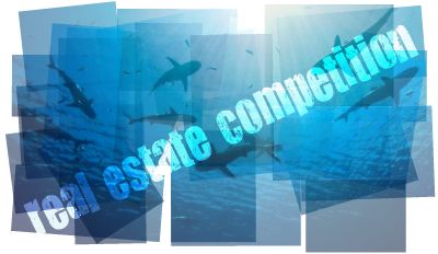 Biểu đồ cạnh tranh giữa môi giới cá nhân và các portal bất động sản lớn