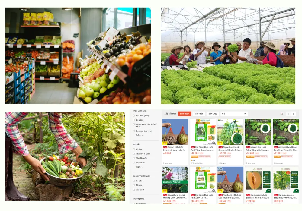 Thị trường thực phẩm sạch Việt Nam – xu hướng tăng trưởng 2025-2026