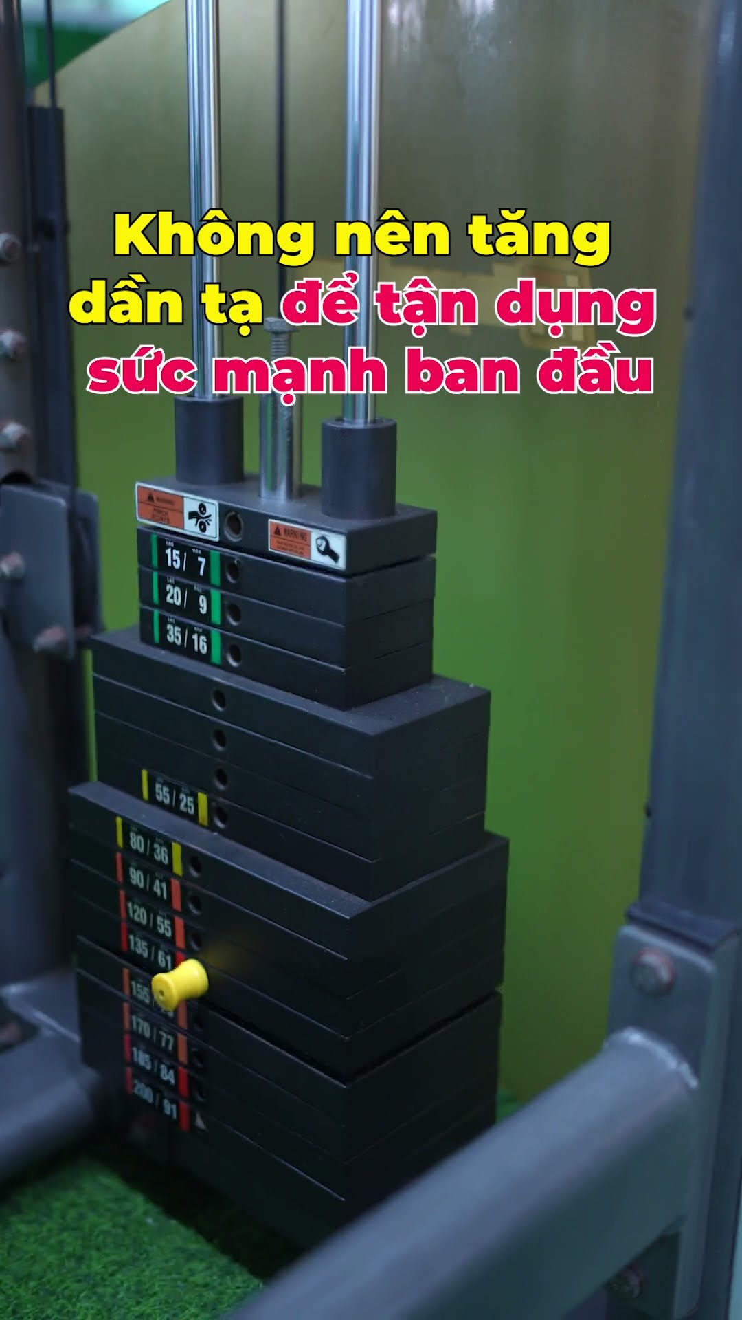 Lịch trình luyện tập 8 tuần chuẩn bị cho IELTS Writing Task 2