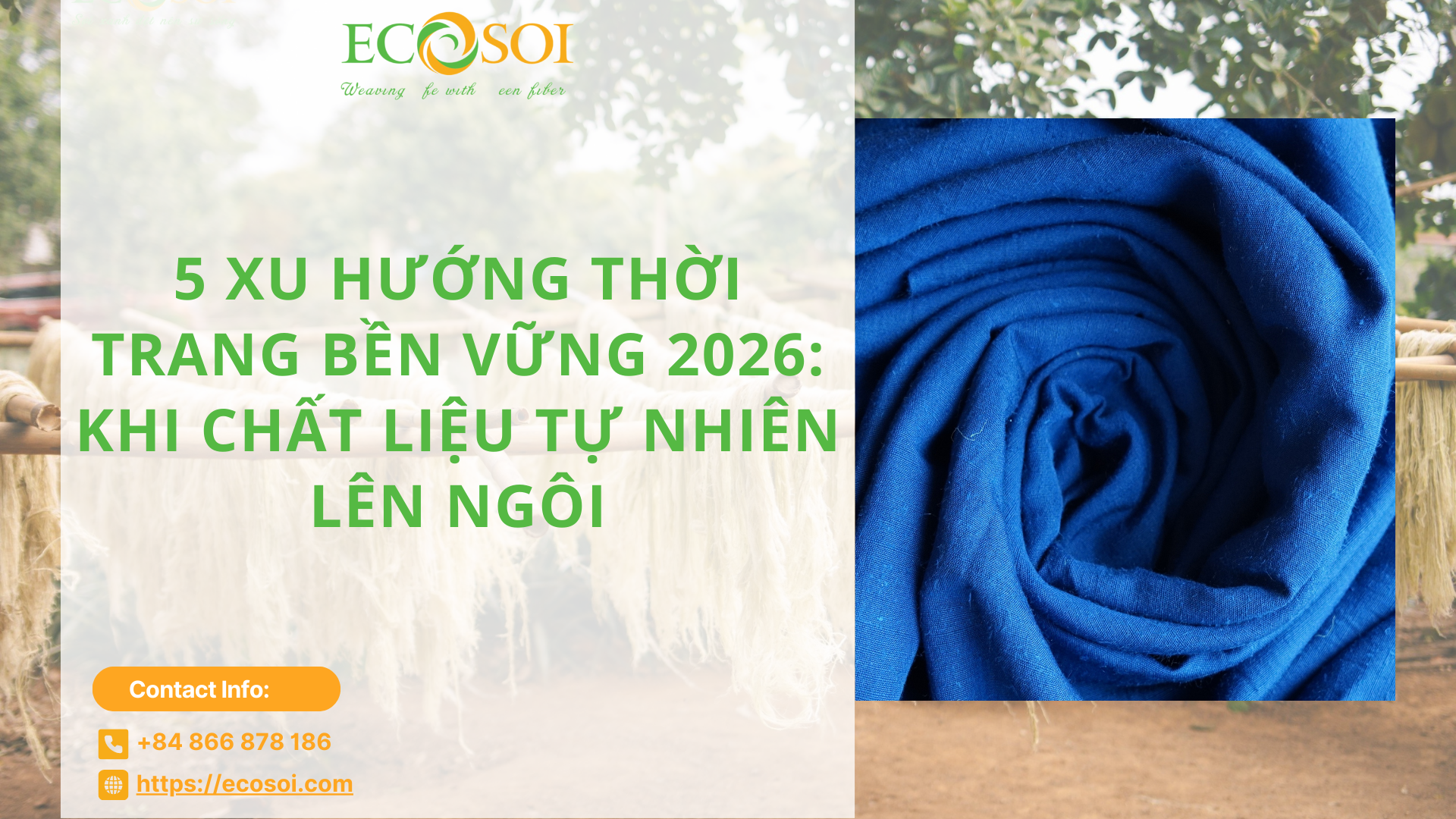 Sợi chuối thân thiện môi trường – vật liệu bền vững 2026 từ nguồn nguyên liệu bản địa Việt Nam