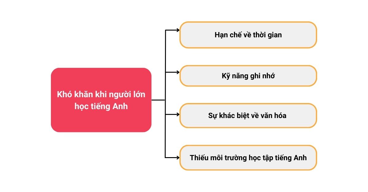 Lớp học tiếng Anh cho người lớn thành công